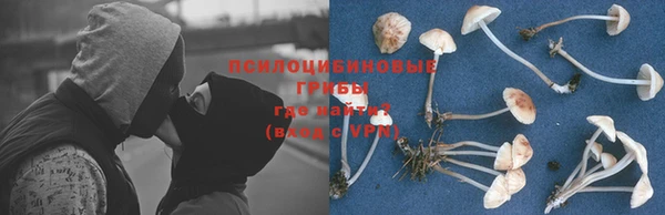 эйфоретик Верхний Тагил